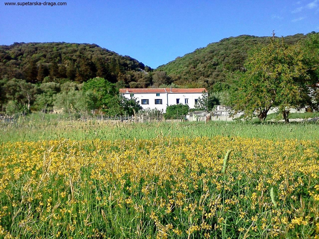 Ferienhaus Viskic